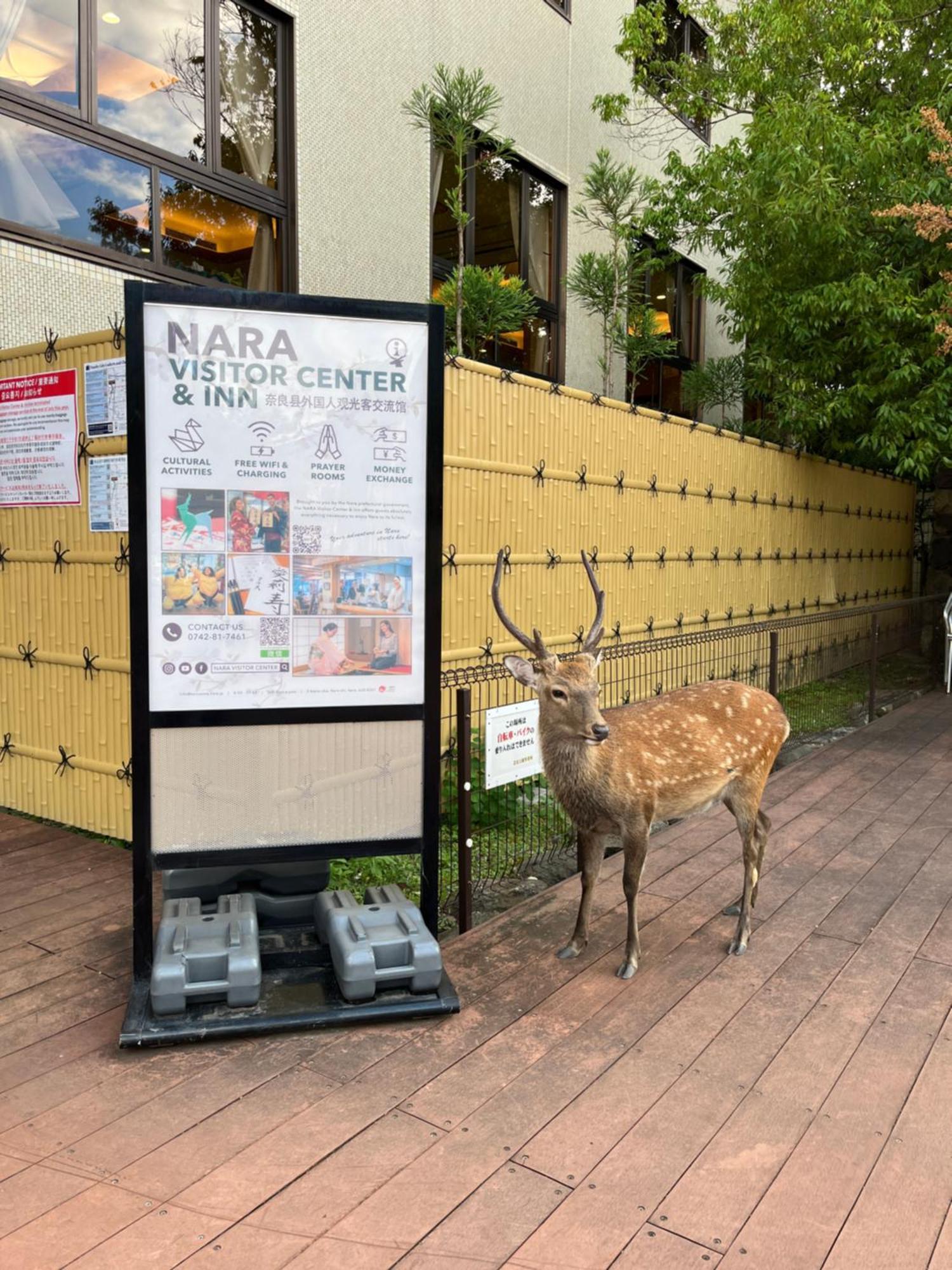 Nara Visitor Center And Inn Экстерьер фото